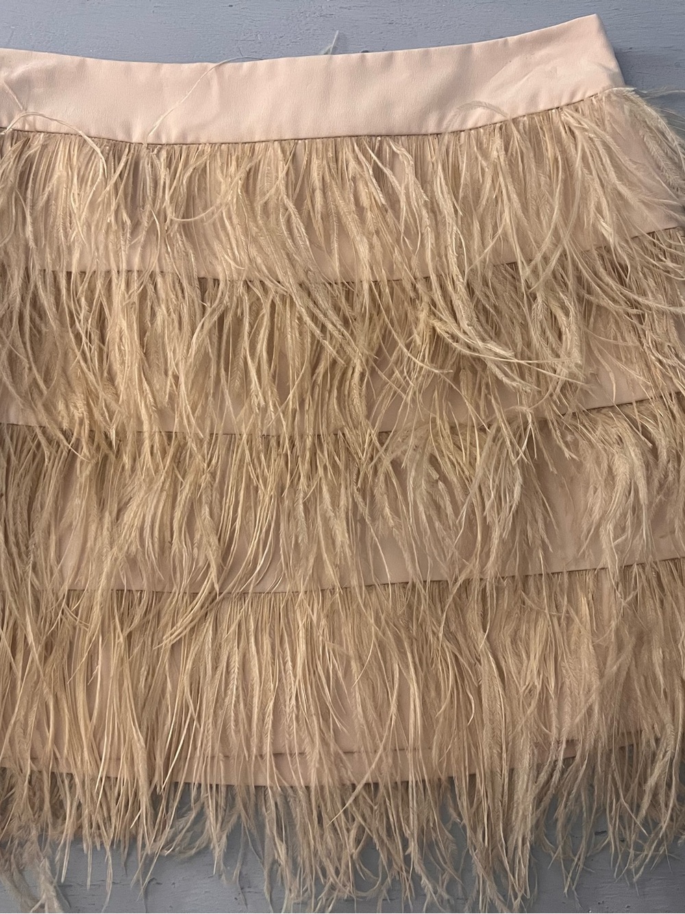 Club Monaco Champagne Feather Tiered Mini Skirt